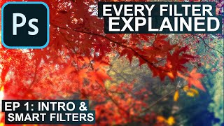 Every Adobe Photoshop CC Filter Explained Ep 1 Intro amp Smart Filters [upl. by Yatzeck337]