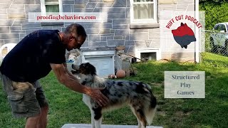 STRUCTURED PLAY GAMES Puppy Push Ups [upl. by Ayna]