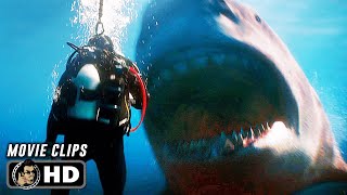 MEG 2 THE TRENCH CLIP COMPILATION 2 2023 Megalodon Movie CLIPS HD [upl. by Tiffanie]