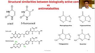 Medicinal Chemistry Antimetabolites Introduction [upl. by Judson827]