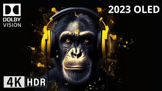 Oled Demo 2023 Dolby THX DLP Intros DOLBY ATMOS SOUND DESIGN 4K HDR 60FPS Dolby Vision [upl. by Geiger]