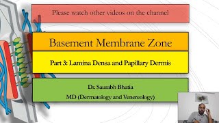 Basement Membrane Zone BMZ Part 3  Lamina Densa and Papillary Dermis [upl. by Sephira]