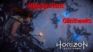 How to Hunt Glinthawks [upl. by Irene]