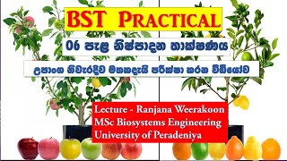 BST ll පැල නිෂ්පාදන තාක්ෂණය 2උපාංග නිවැරදිව මතකදැයි පරීක්ෂා කරන වීඩියෝව ll රංජන වීරකෝන් [upl. by Adnaugal]