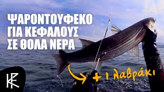 Ψαροντούφεκο για Κέφαλους σε Θολά Νερά  1 Λαβράκι © [upl. by La Verne736]