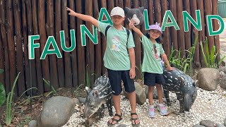 Jalan Jalan Ke Fauna Land Ancol  Kasih Makan Singa Putih [upl. by Nevyar]