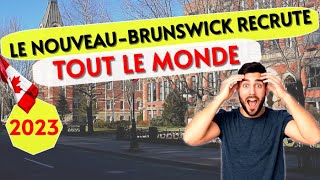 Le NouveauBrunswick recrute tout le monde  comment postuler gratuitement et réussir [upl. by Cherice]