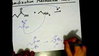 How to Make Amides Mechanism [upl. by Atikihc]