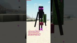 Minecraft ENDERMITES  Why Enderman Hates them  shorts [upl. by Antonietta]