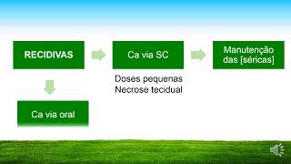 HIPOCALCEMIA EM VACAS LEITEIRAS Tratamento [upl. by Nipha]