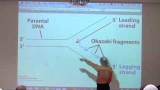 DNA Replication Recombination Repair II [upl. by Brown]