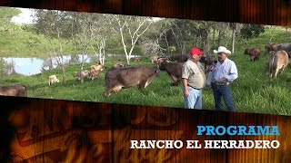 SuizBu  RANCHO EL HERRADERO [upl. by Samella]