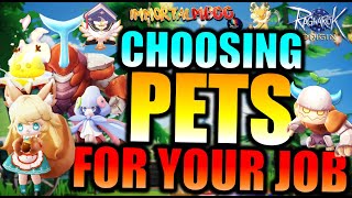 WHICH PET IS BEST FOR EACH JOB CLASS  RAGNAROK ORIGIN [upl. by Anid581]