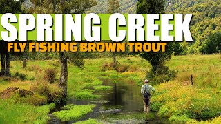 Spring Creek Fly Fishing for Brown Trout  2 Spring Creeks on 1 Incredible Afternoon Fly Fishing [upl. by Junius636]