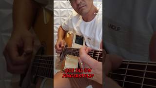 QUE TAL TOCAR UM FINGERSTYLE [upl. by Alegnaed572]