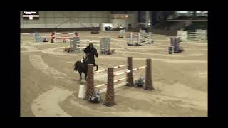 Nova winning addington Grand Prix  jump off [upl. by Fredkin]