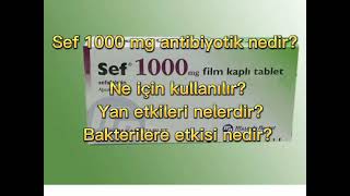 sef 1000 mg antibiyotik nedir Ne için kullanılır Yan etkileri nelerdir bakterilere etkisi nedir [upl. by Etteniotnna]