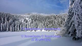 O Tannenbaum  Vienna Boys Choir with GermanEnglishKorean lyrics 동요 quot소나무여quot 원곡 [upl. by Ineslta]