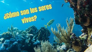 ¡Asombrosas Características de los SERES VIVOS que Debes Conocer [upl. by Venator]