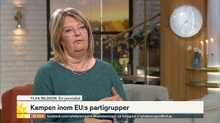 Det händer i EUparlamentet veckorna efter valet  Nyhetsmorgon  TV4 amp TV4 Play [upl. by Meehahs55]