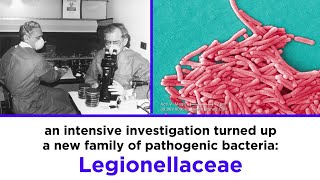 Legionnaires’ Disease Legionella pneumophila [upl. by Elberfeld]