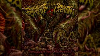 Disfigurement Of Flesh amp Parasitic Ejaculation  Intracellular Impious Metamorphosis Split EP 2016 [upl. by Bertie927]