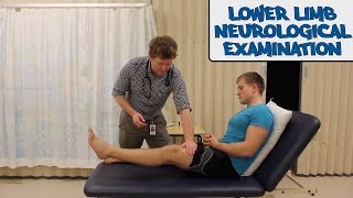 Lower Limb Neurological Examination  OSCE Guide old version  UKMLA  CPSA [upl. by Deni]