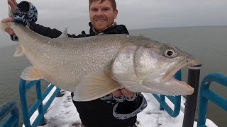 How To Pier Fish For Salmon Steelhead And Lake Trout Casting From Shore [upl. by Matthias263]