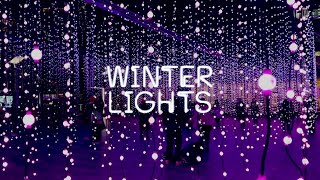 ✨FREE LIGHT FESTIVAL ✨ WINTER LIGHTS AT CANARY WHARF [upl. by Sousa]