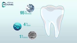 What Is Tooth Enamel  Pronamel® Toothpaste [upl. by Bethesda]