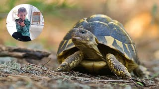 Visitamos el centro de reproducción de tortugas de lAlbera 🐢 [upl. by Aisan]