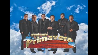 Conjunto Primavera  Puros Exitos de Oro I Norteñasmusicamexicana musicabanda músicanorteña [upl. by Manning]