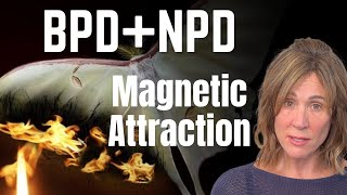 7 Reasons For The Intense Attraction Between BPD amp NPD by Lise Leblanc [upl. by Rame]