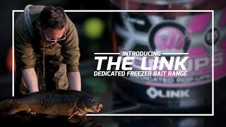 Mainline Baits Carp Fishing TV  Introducing The Link [upl. by Notfilc]