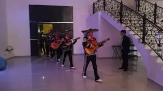 Las Mañanitas  Mariachi De Gala [upl. by Espy]