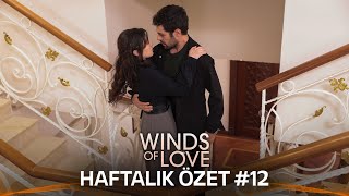 Winds of Love Weekly Summary 12  Rüzgarlı Tepe Haftalık Kolaj 12 [upl. by Lenora554]