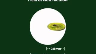 Part 7 How to Use Stereo and Compound Microscopes [upl. by Elokcin]