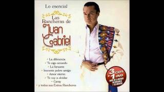 El Principio  Juan Gabriel [upl. by Lleumas234]