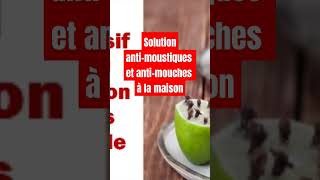 Solution antimoustiques et antimouches à la maison [upl. by Madel]