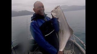 Halibut and Coalfish  Norway  Sidewinder [upl. by Doggett]