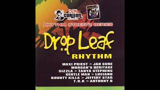 Drop Leaf Riddim Mix  Rubb a Dube Sound [upl. by Amles]