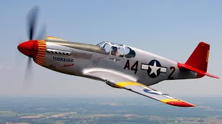 P51 Mustang Whistle Noises amp Small Facts  shorts [upl. by Sheila]