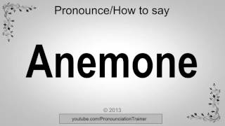 How to Pronounce Anemone [upl. by Poole]