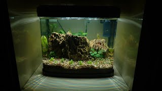 Creating My First Walstad Aquarium [upl. by Suhsoj]