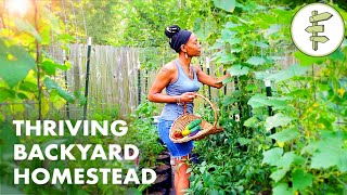 Womans Incredible Backyard Homestead Produces TONS of Food for Her Family – URBAN GARDEN TOUR [upl. by Nylad116]