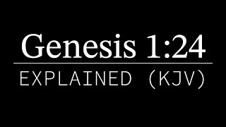 Genesis 124 Explained  KJV Bible [upl. by Secilu]