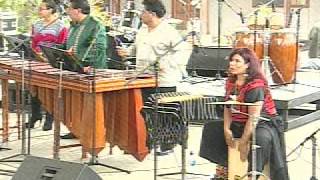 Javier Nandayapa Marimba Ensamble [upl. by Atteval391]