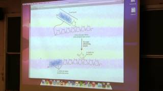 Aherns BB 350 at OSU  28 Glycogen Metabolism [upl. by Yajiv607]