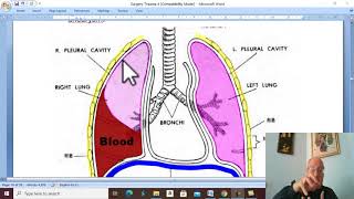 Trauma in Arabic 25  Haemothorax   by Dr Wahdan [upl. by Yevrah]