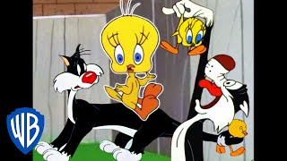 Looney Tunes  I Taut I Taw a Putty Tat  Classic Cartoon Compilation  WB Kids [upl. by Jenn789]